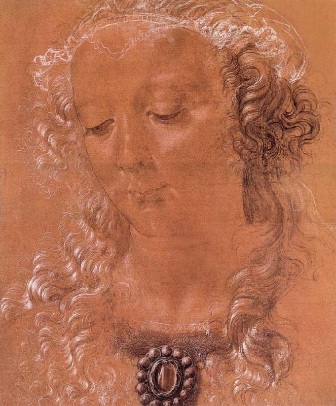 Andrea del Verrocchio Halfte second women head Norge oil painting art